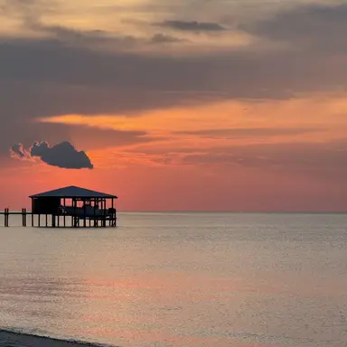 Profile image of Dr. Maren Cole