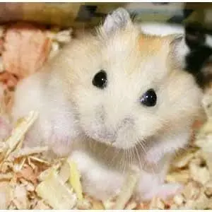 Profile image of 김하늘