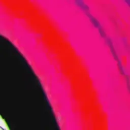 Profile image of 立花 仙蔵