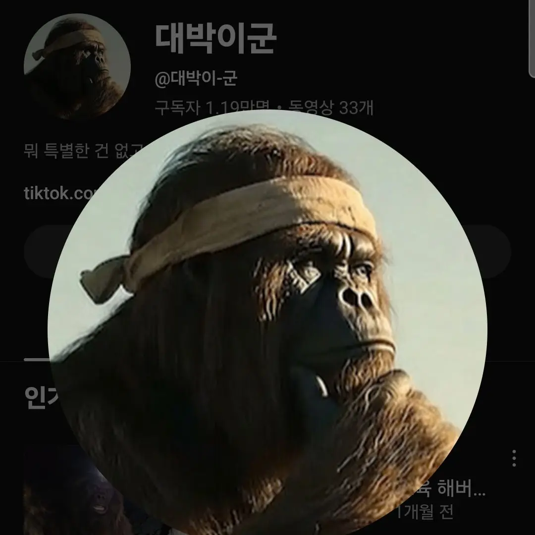 RowdyBeago6466의 대박이