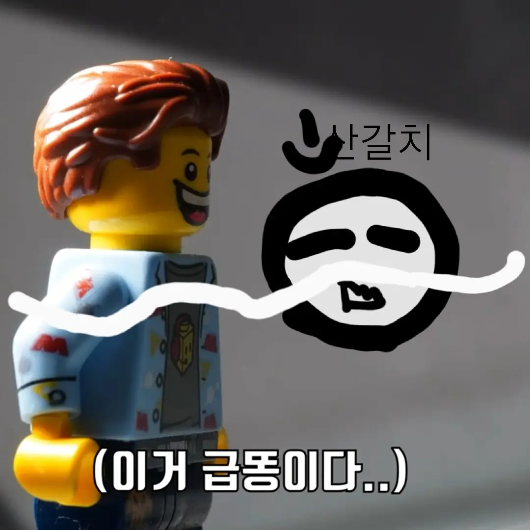 Aqrgk의 나의친구 김레고