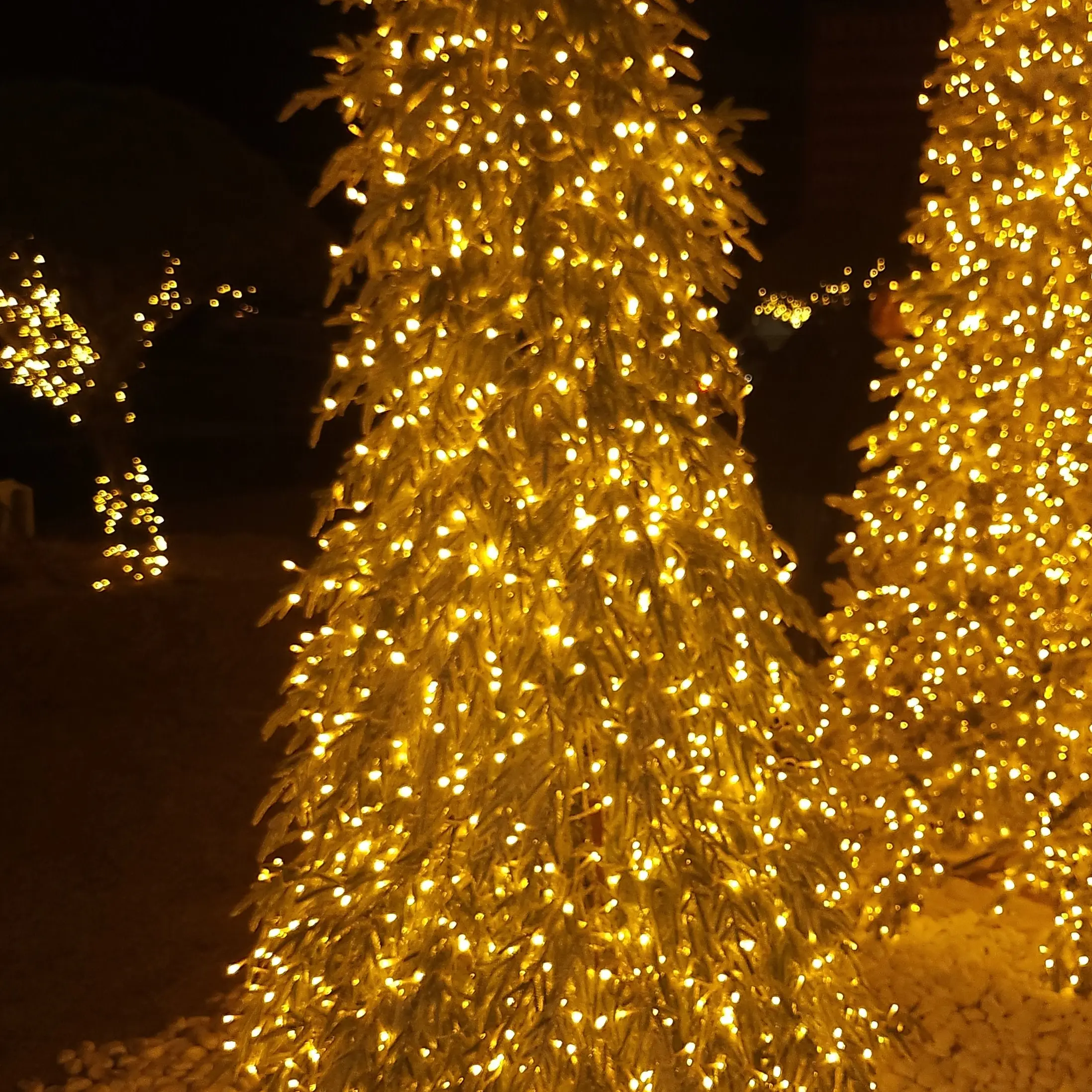 AbleMovie2414의 김규빈