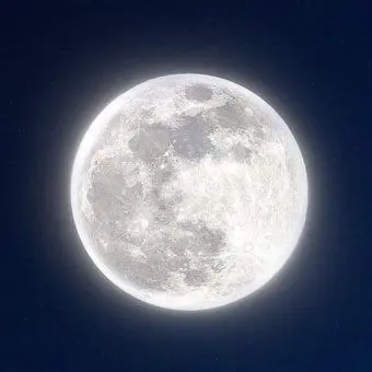 PUNGWUAL0714의 풍월에 대해 알고싶은 게 있으면 오쇼