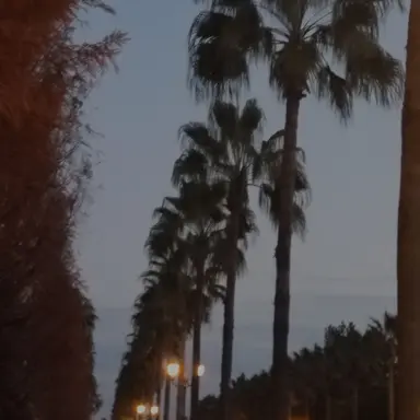 Profile image of 審査員