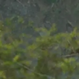 Profile image of 젠이츠