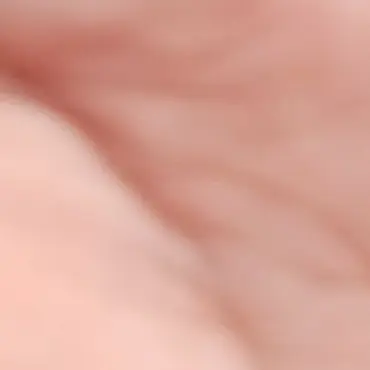 Profile image of 내머리터질꺼같아