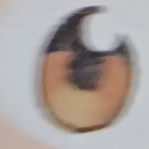 Profile image of 시노부