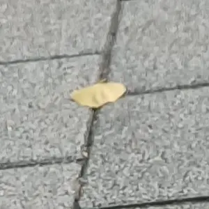 Profile image of 제 4의벽