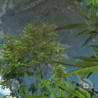 Profile image of 2노스케