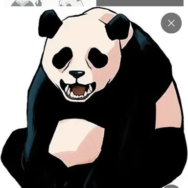 Profile image of 판다