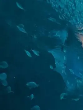 mimizuk-0011의 今日もケガしてるあのコ。