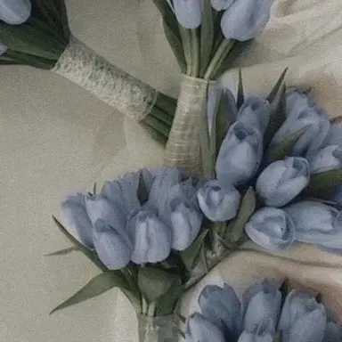 Profile image of 파이브