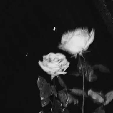 Profile image of 우융