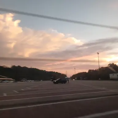 Profile image of 정 공룡