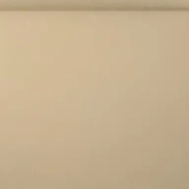 Profile image of 최범규