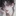 서의현
