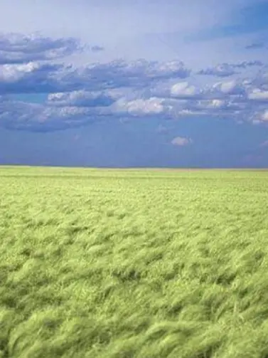 ConvexSlab5286의 lulu．