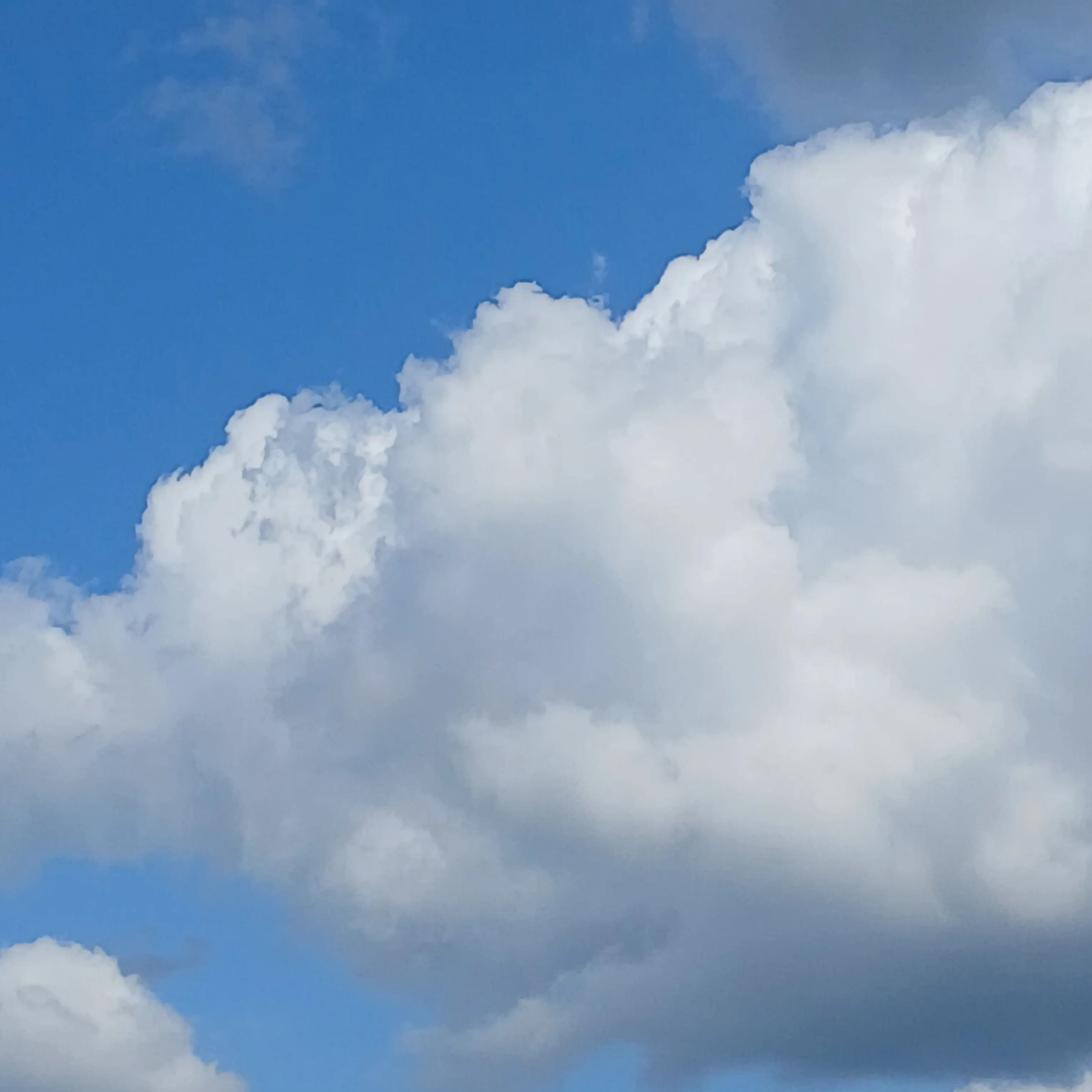 MoistPig1908의 팀나빠와 가족이 된다면?