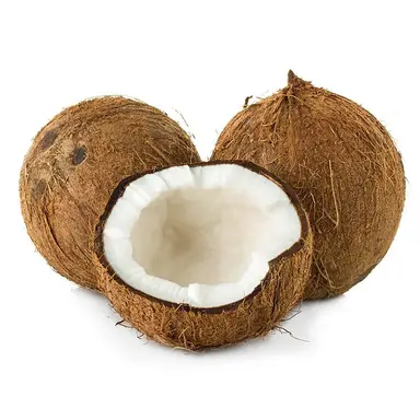 Profile image of ヨンジェ先生