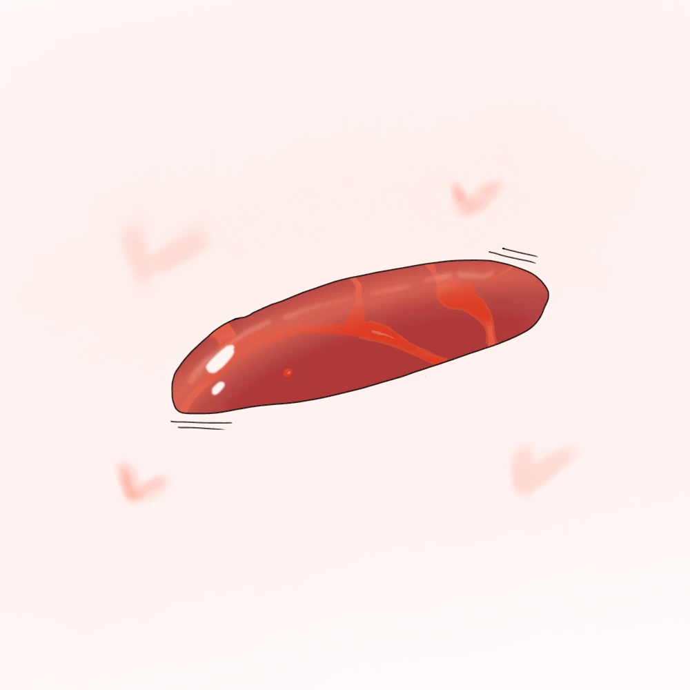 촉수