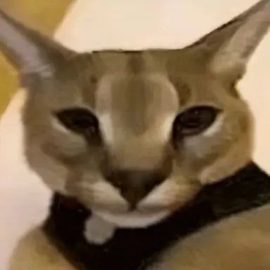 Profile image of Hecker