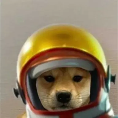 Profile image of Skittle