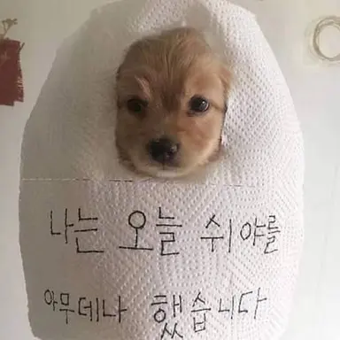 Profile image of 여우련