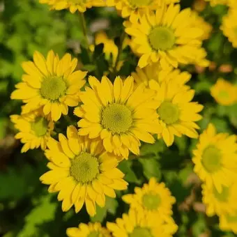 Profile image of 각별