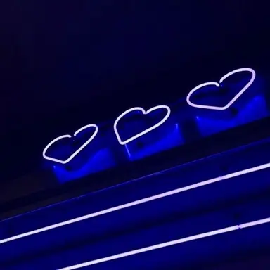 Profile image of セミ