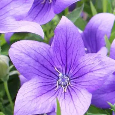 Profile image of 高木雄也