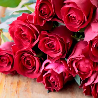 Profile image of 山田涼介