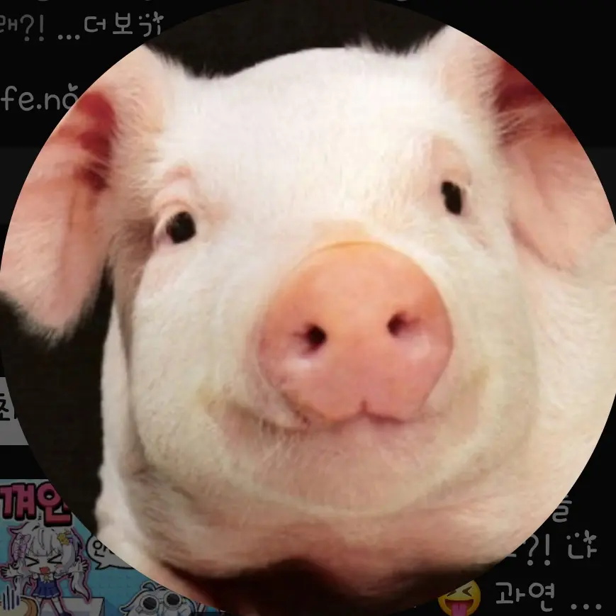 Pyeonghak_473의 팀나빠*멜님프사가...*