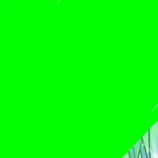 Profile image of 공룡