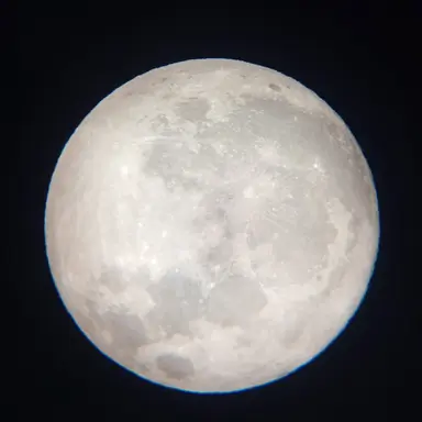 Profile image of 유기사