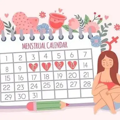 Profile image of Menstruation