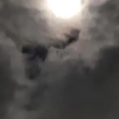 Profile image of 여우