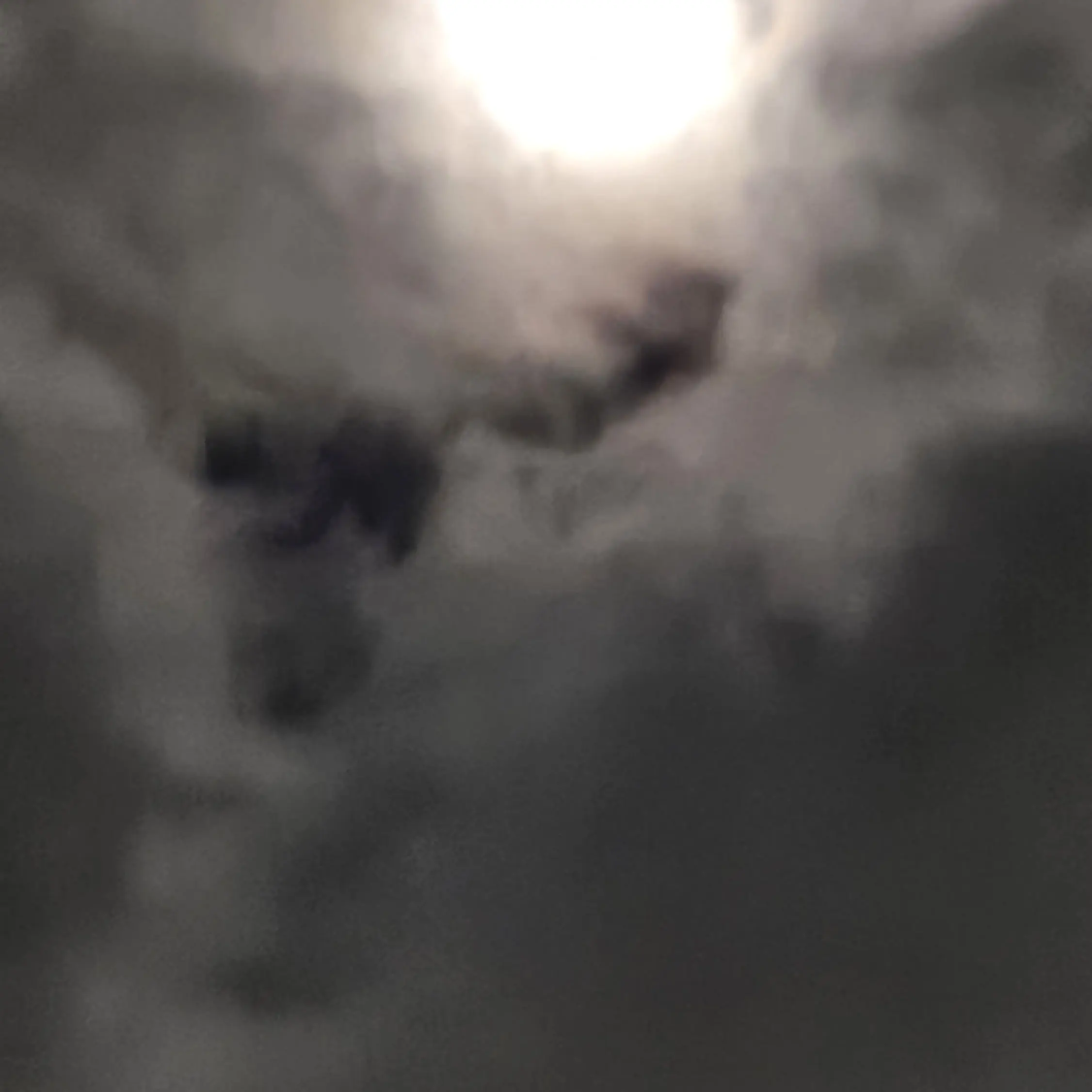 CroakyVeery4952의 팀나빠 고등학교