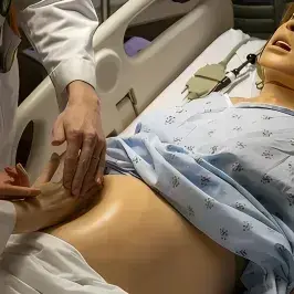 GiddyHeron1322의 Pregnancy Robot