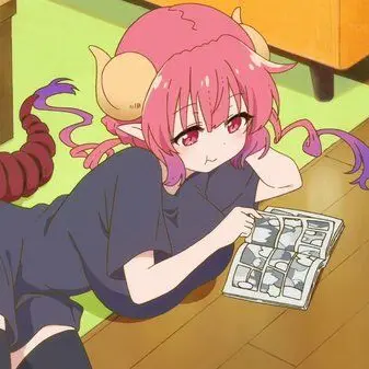 Profile image of イルル