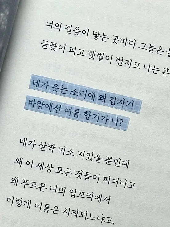 NWR의 이거 맞나요..? 전학 간 학교에..