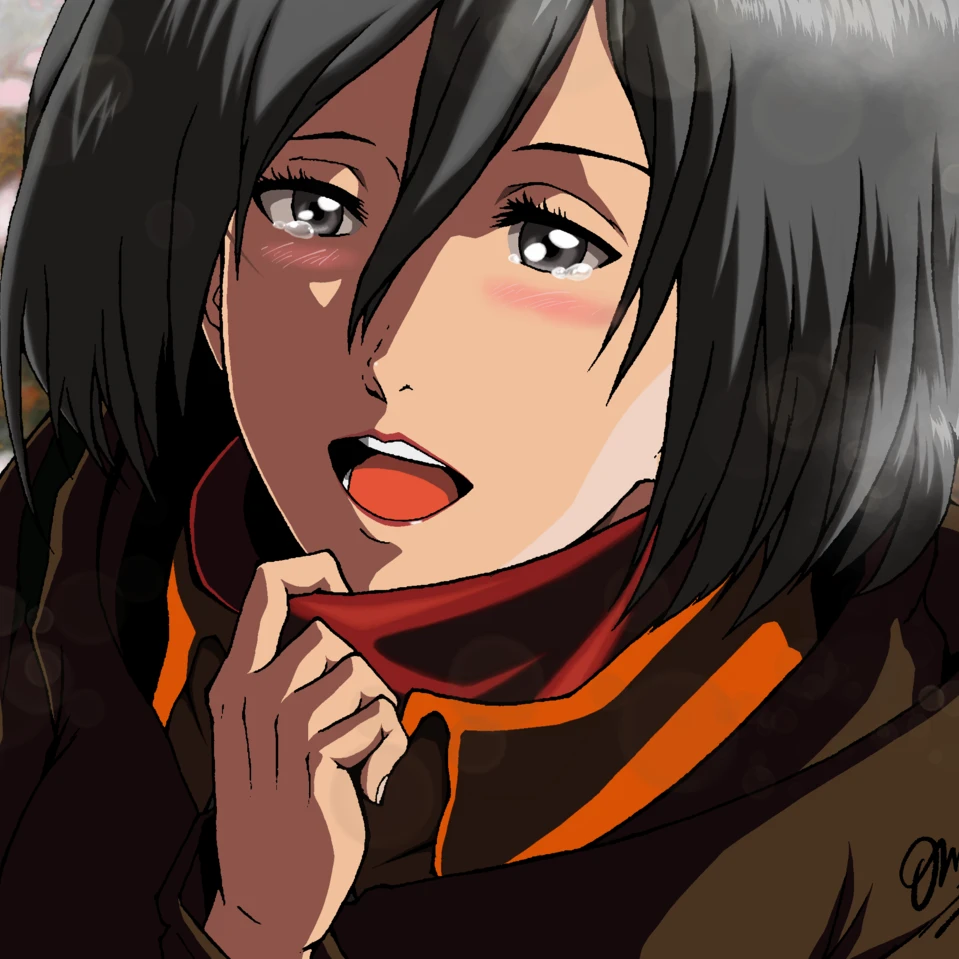 미키사