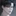 이도준