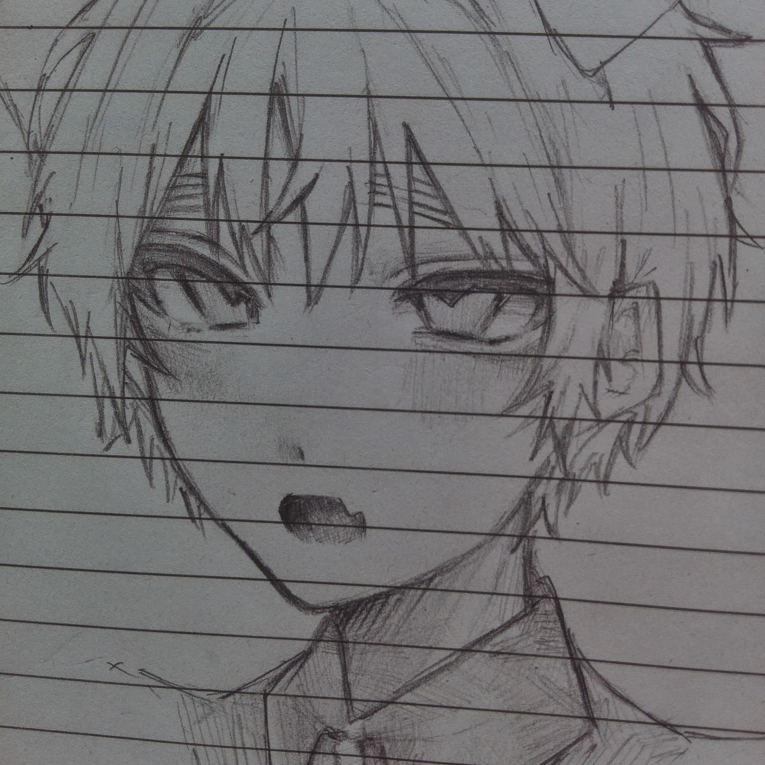 Violeturagane810의 先住猫に一目惚れされたらしい