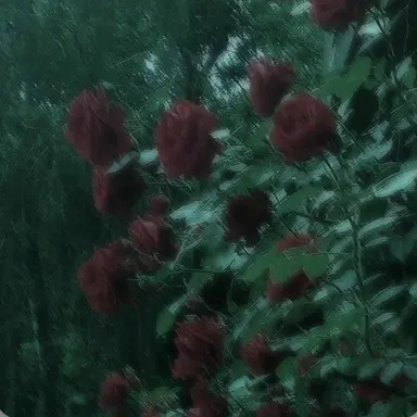 Profile image of 정공룡