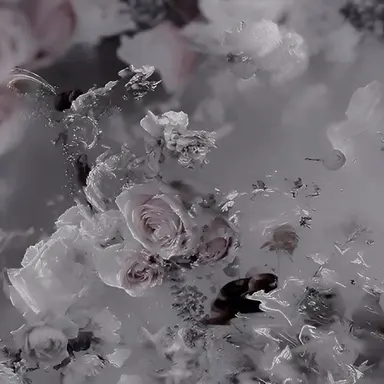 Profile image of 璃華