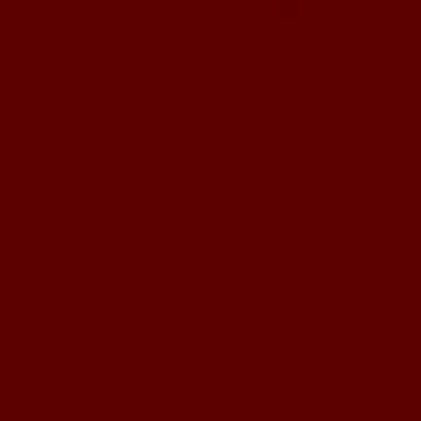Profile image of 리카