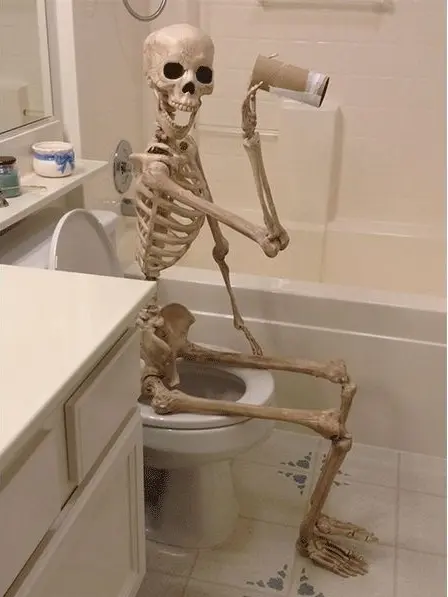 whatever_I_want_bxtch의 두 병(삐―)들.