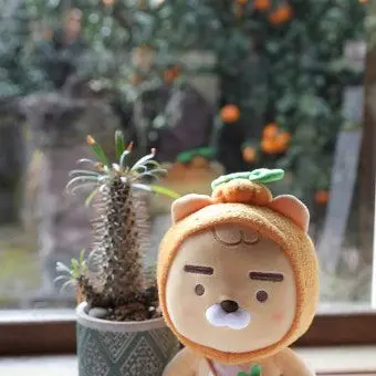 FussySteak3604의 춘식이 라이언 토순이 삼형제