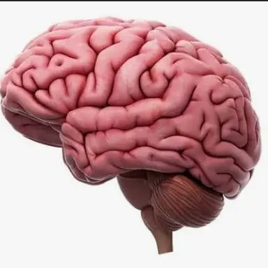 Profile image of Brain