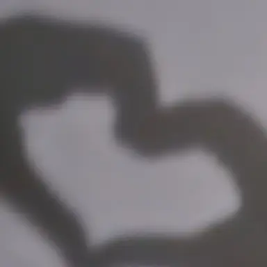 Profile image of 현승호